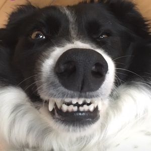 Meet your Posher, Chloe